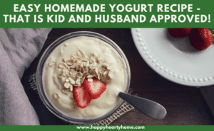 Easy Homemade Yogurt Recipe - Homemade yogurt in a bowl with strawberries and oatmeal.