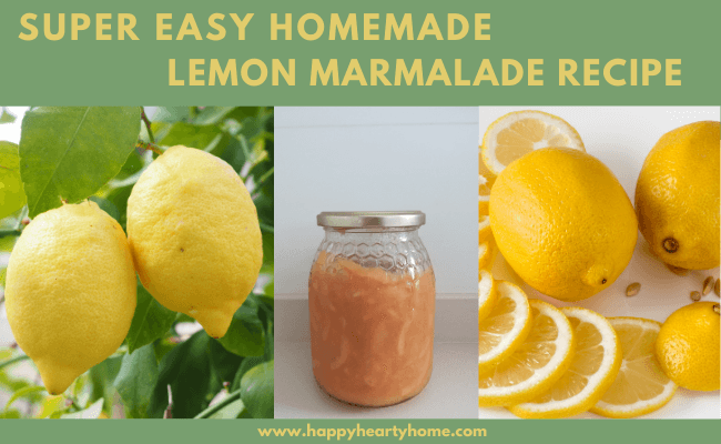 Easy Homemade Lemon Marmalade Recipe